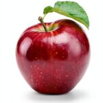 The Harvest Saga Book 1 Dystopian Teen Fiction Kindle-0