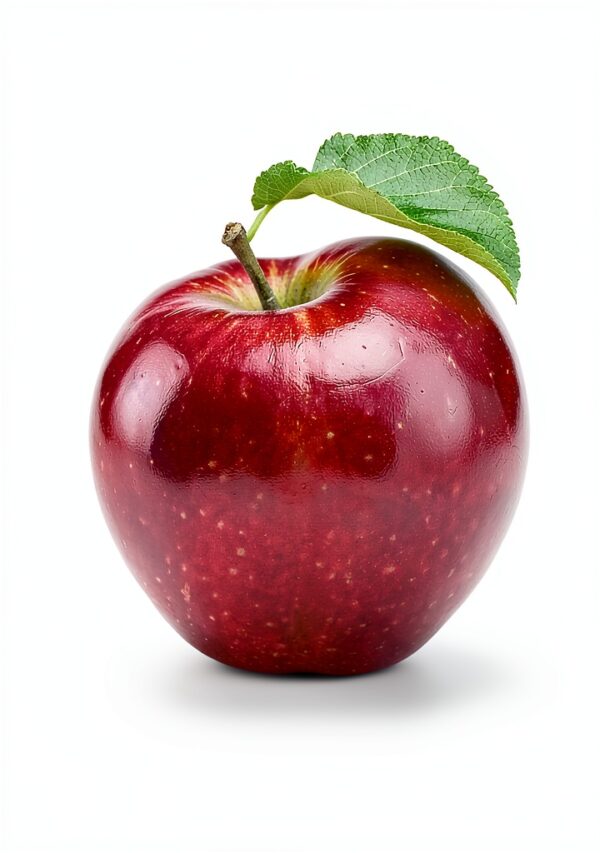 The Harvest Saga Book 1 Dystopian Teen Fiction Kindle-0